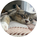 yo-ko profile picture